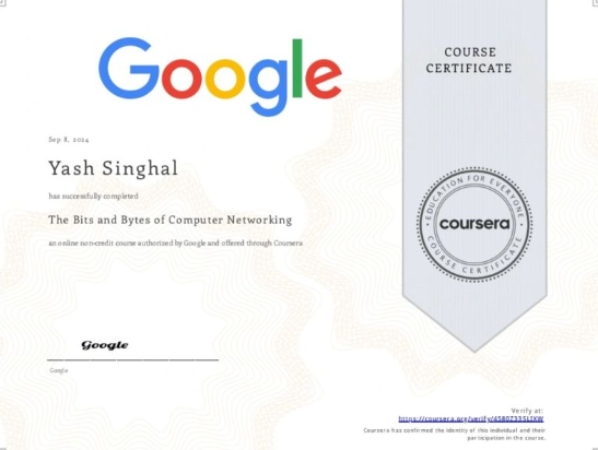 Google Networking